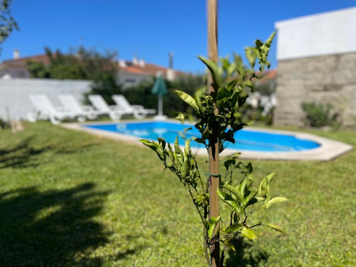 비아나도카스텔로 Casa Do Albano 빌라 외부 사진