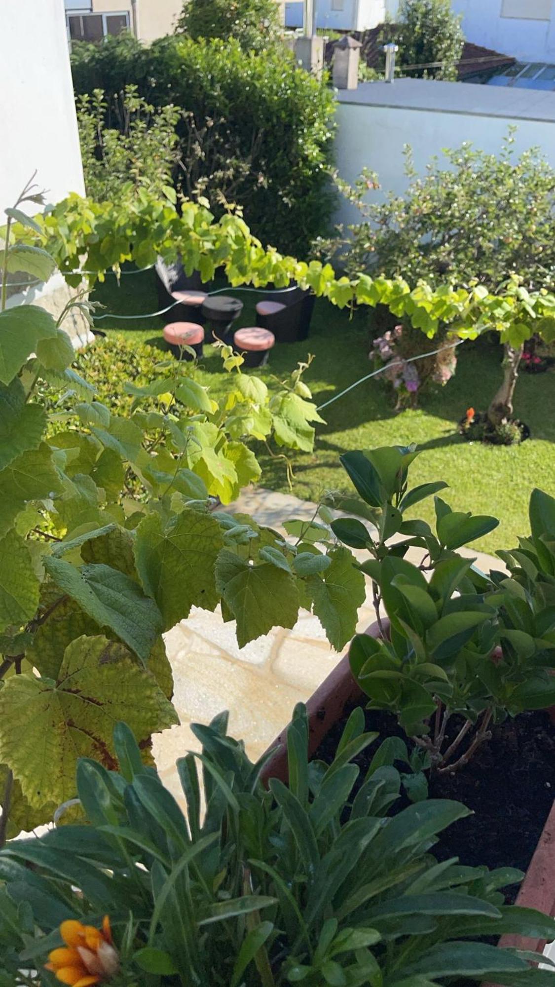 비아나도카스텔로 Casa Do Albano 빌라 외부 사진